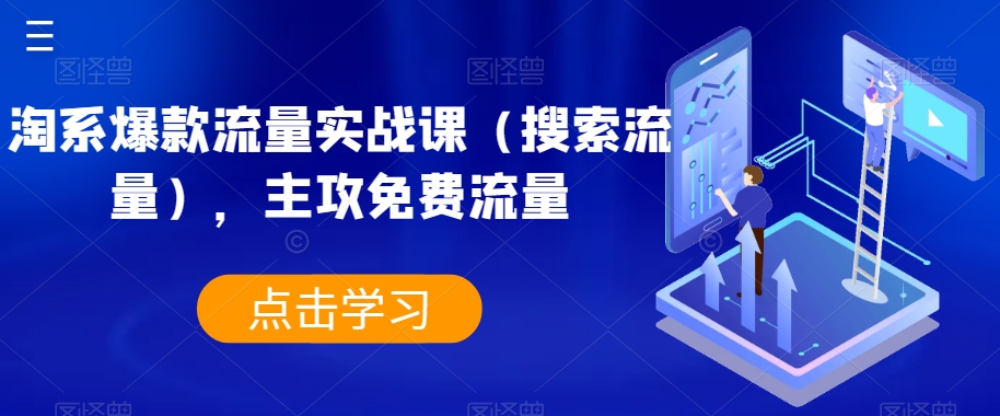 淘系爆款流量实战课（搜索流量），主攻免费流量-氢气球网创资源库
