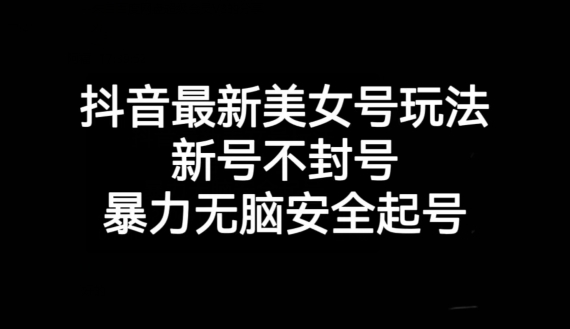 抖音最新美女号玩法，新号不封号，暴力无脑安全起号【揭秘】-氢气球网创资源库
