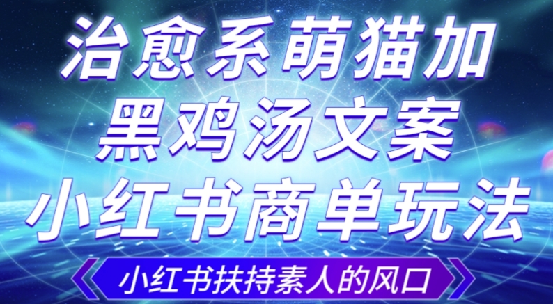 治愈系萌猫加+黑鸡汤文案，小红书商单玩法，3~10天涨到1000粉，一单200左右-氢气球网创资源库