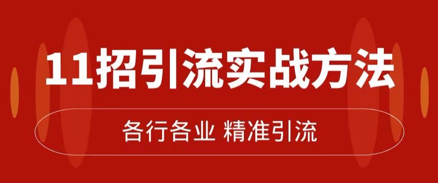 精准引流术：11招引流实战方法，让你私域流量加到爆（11节课完整)-氢气球网创资源库