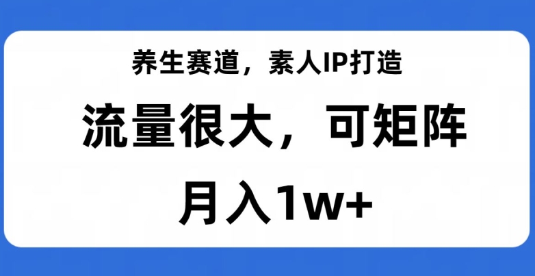 养生赛道，素人IP打造，流量很大，可矩阵，月入1w+【揭秘】-氢气球网创资源库
