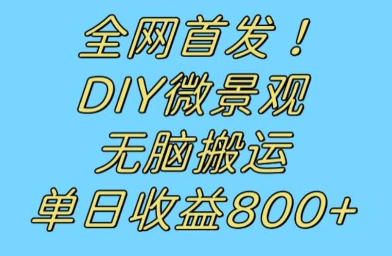 全网首发冷门赛道！DIY微景观，无脑搬运视频，日收益800+【揭秘】-氢气球网创资源库