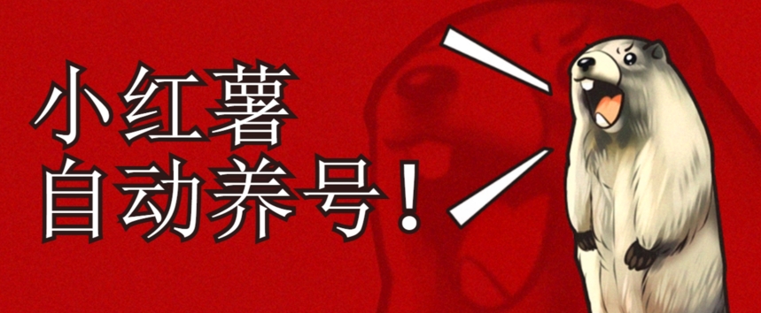 小红书养号秘籍，如何自动涨粉清晰系统标签打造高权重账号【揭秘】-氢气球网创资源库