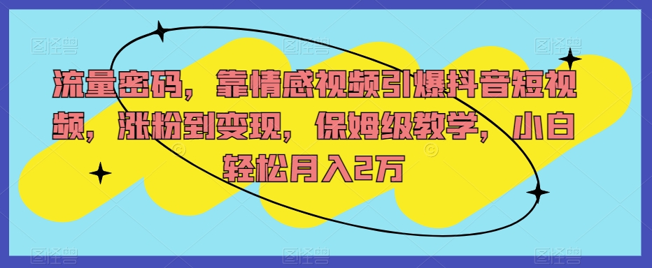 流量密码，靠情感视频引爆抖音短视频，涨粉到变现，保姆级教学，小白轻松月入2万【揭秘】-氢气球网创资源库