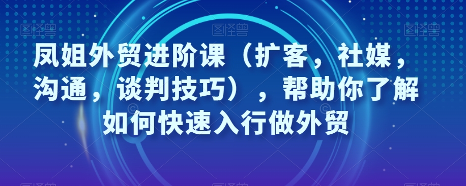 凤姐外贸进阶课（扩客，社媒，沟通，谈判技巧），帮助你了解如何快速入行做外贸-氢气球网创资源库
