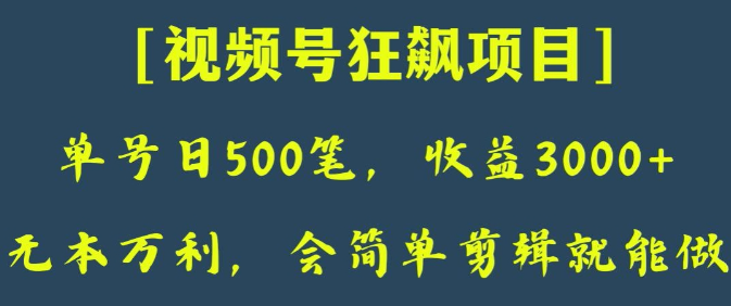 日收款500笔，纯利润3000+，视频号狂飙项目，会简单剪辑就能做【揭秘】-氢气球网创资源库