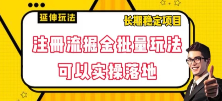 注册流掘金批量玩法，可以实操落地【揭秘】-氢气球网创资源库