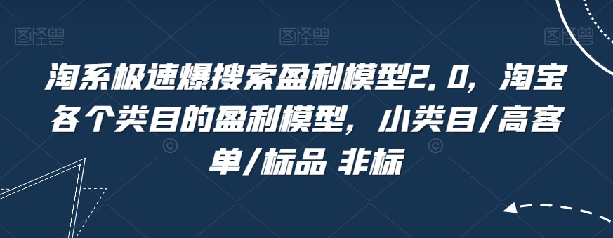 淘系极速爆搜索盈利模型2.0，淘宝各个类目的盈利模型，小类目/高客单/标品 非标-氢气球网创资源库