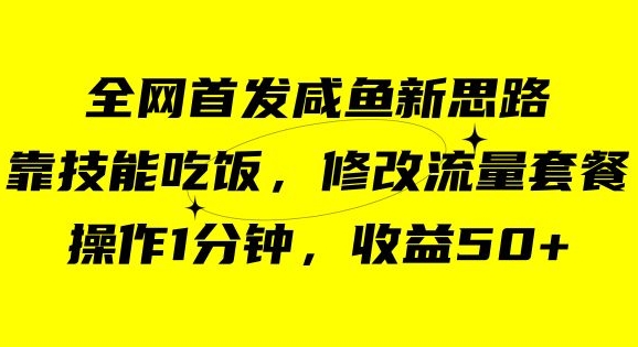 咸鱼冷门新玩法，靠“技能吃饭”，修改流量套餐，操作1分钟，收益50【揭秘】-氢气球网创资源库