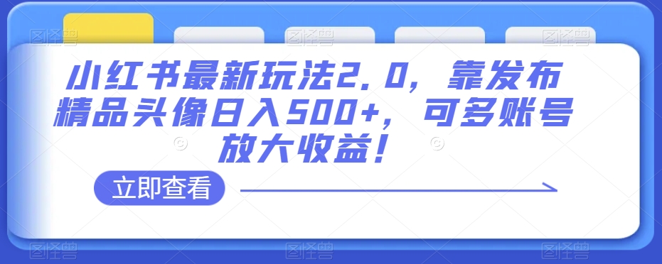小红书最新玩法2.0，靠发布精品头像日入500+，可多账号放大收益！【揭秘】-氢气球网创资源库