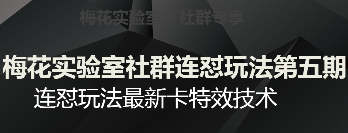 梅花实验室社群连怼玩法第五期，视频号连怼玩法最新卡特效技术-氢气球网创资源库