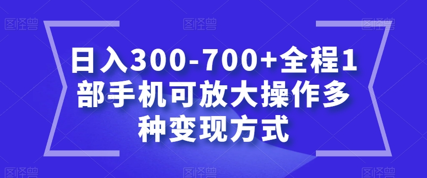 日入300-700+全程1部手机可放大操作多种变现方式【揭秘】-氢气球网创资源库
