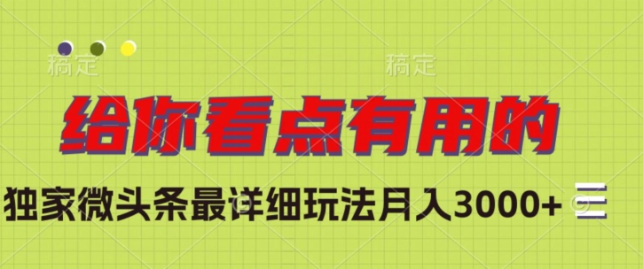 独家微头条最详细玩法，月入3000+【揭秘】-氢气球网创资源库
