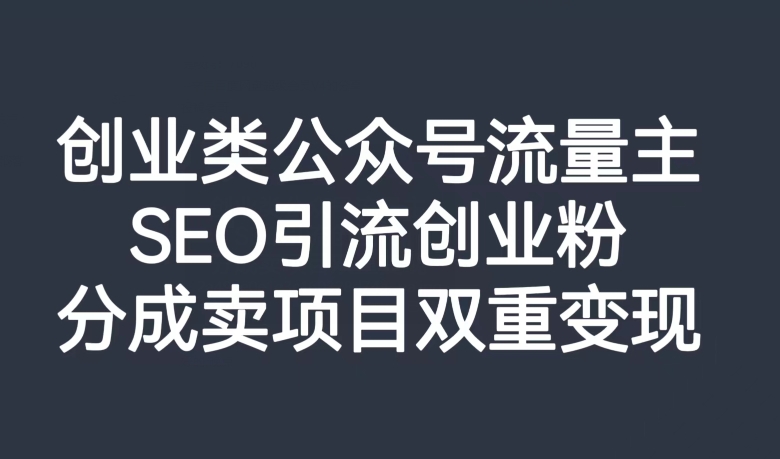 创业类公众号流量主，SEO引流创业粉，分成卖项目双重变现【揭秘】-氢气球网创资源库