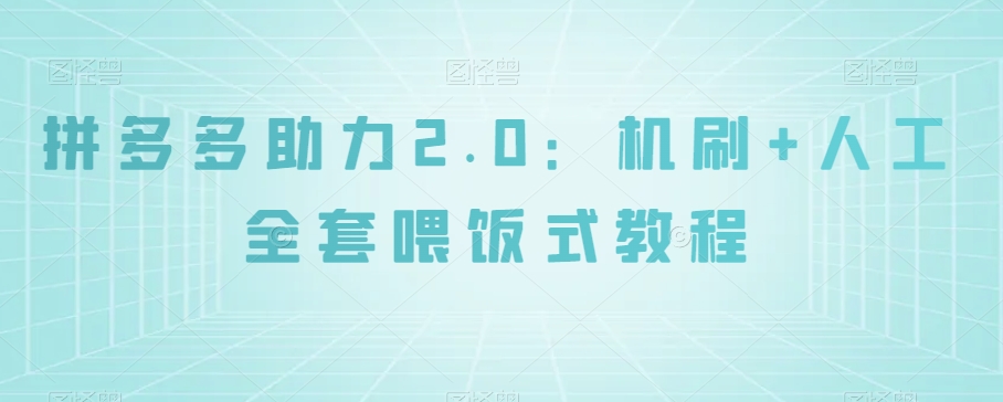 拼多多助力2.0：机刷+人工全套喂饭式教程【揭秘】-氢气球网创资源库