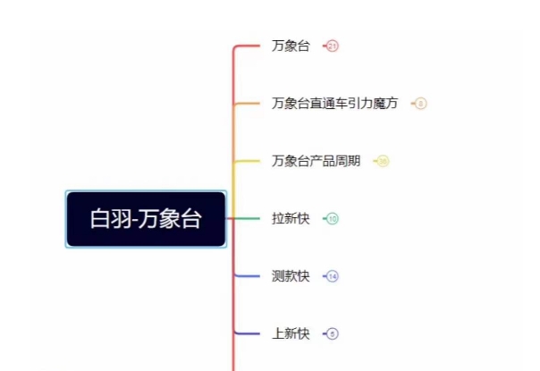 白羽·直引万搜索全篇，从0-1，多个类目实操经验总结付费-氢气球网创资源库