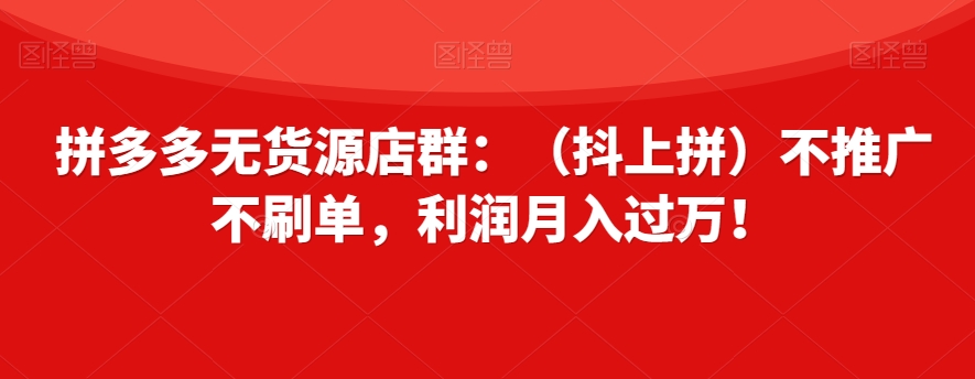 拼多多无货源店群：（抖上拼）不推广不刷单，利润月入过万！【揭秘】-氢气球网创资源库
