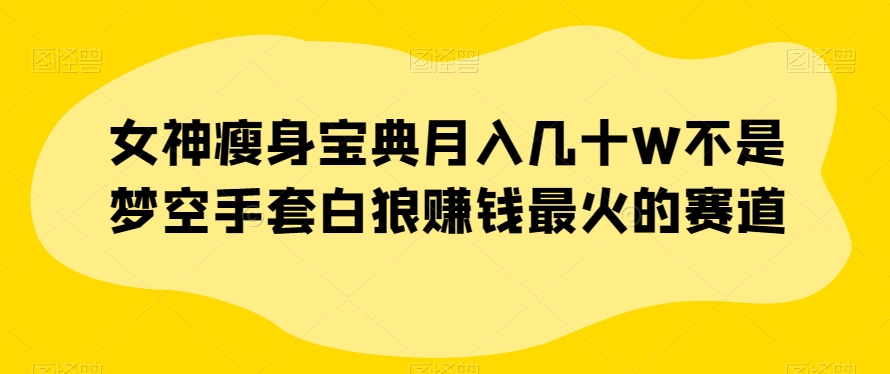 女神瘦身宝典月入几十W不是梦空手套白狼赚钱最火的赛道【揭秘】-氢气球网创资源库