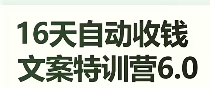16天自动收钱文案特训营6.0，学会儿每天自动咔咔收钱-氢气球网创资源库