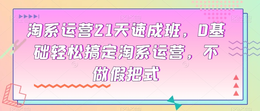 淘系运营21天速成班，0基础轻松搞定淘系运营，不做假把式-氢气球网创资源库