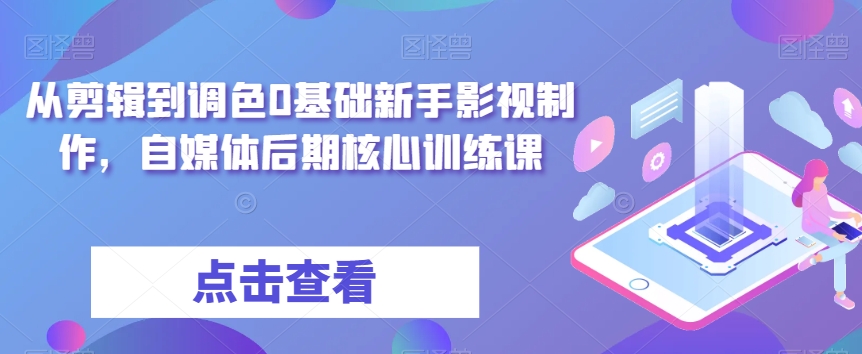 从剪辑到调色0基础新手影视制作，自媒体后期核心训练课-氢气球网创资源库