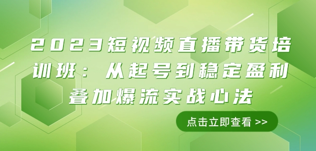 2023短视频直播带货培训班：从起号到稳定盈利叠加爆流实战心法（11节课）-氢气球网创资源库