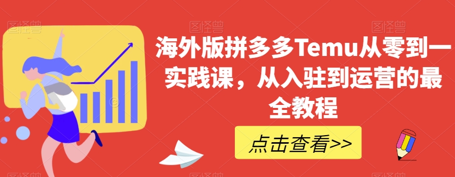 海外版拼多多Temu从零到一实践课，从入驻到运营的最全教程-氢气球网创资源库