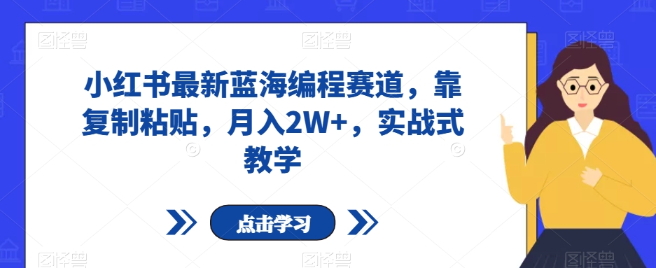 小红书最新蓝海编程赛道，靠复制粘贴，月入2W+，实战式教学【揭秘】-氢气球网创资源库