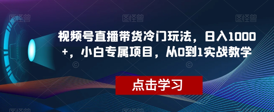 视频号直播带货冷门玩法，日入1000+，小白专属项目，从0到1实战教学【揭秘】-氢气球网创资源库