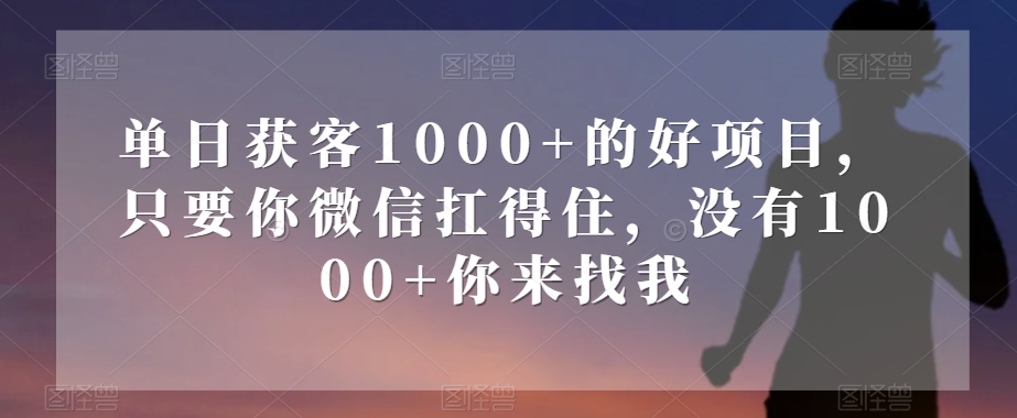 单日获客1000+的好项目，只要你微信扛得住，没有1000+你来找我【揭秘】-氢气球网创资源库