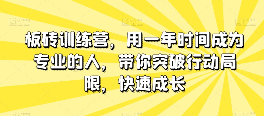 板砖训练营，用一年时间成为专业的人，带你突破行动局限，快速成长-氢气球网创资源库