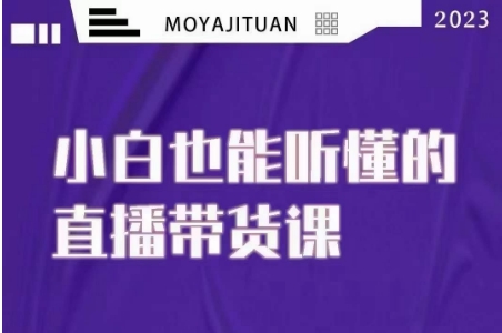 大威本威·能听懂的直播带货课，小白也能听懂，20节完整-氢气球网创资源库