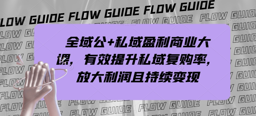 全域公+私域盈利商业大课，有效提升私域复购率，放大利润且持续变现-氢气球网创资源库