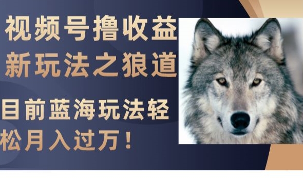 视频号撸收益新玩法之狼道，目前蓝海玩法，轻松月入过万【揭秘】-氢气球网创资源库
