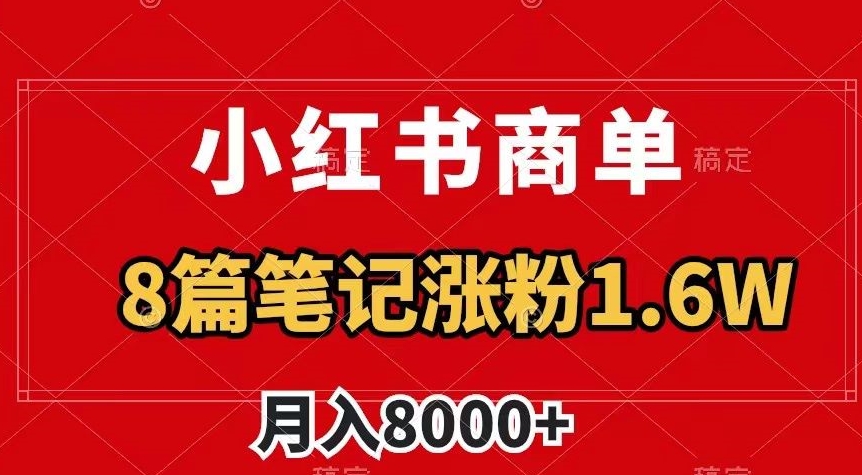 小红书商单最新玩法，8篇笔记涨粉1.6w，作品制作简单，月入8000+【揭秘】-氢气球网创资源库