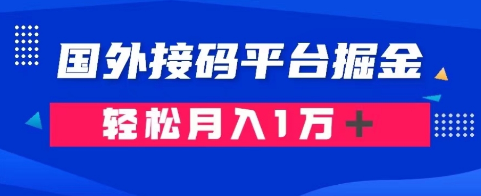 通过国外接码平台掘金：成本1.3，利润10＋，轻松月入1万＋【揭秘】-氢气球网创资源库