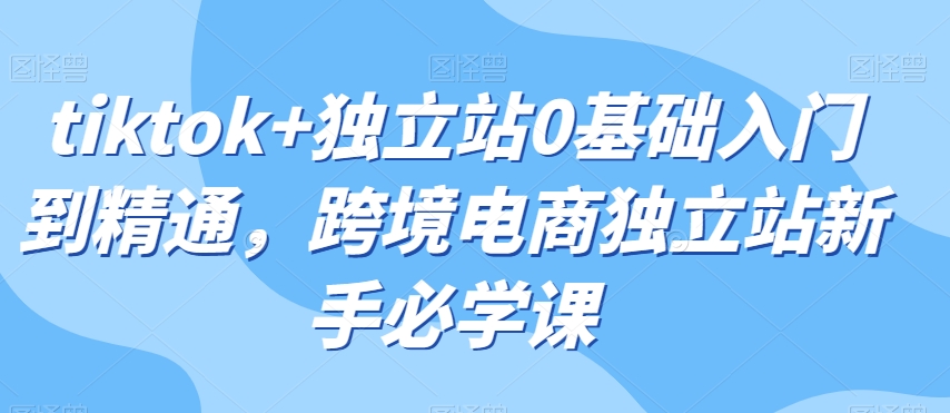 tiktok+独立站0基础入门到精通，跨境电商独立站新手必学课-氢气球网创资源库