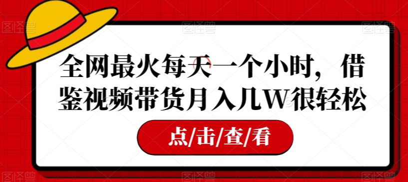 全网最火每天一个小时，借鉴视频带货月入几W很轻松【揭秘】-氢气球网创资源库