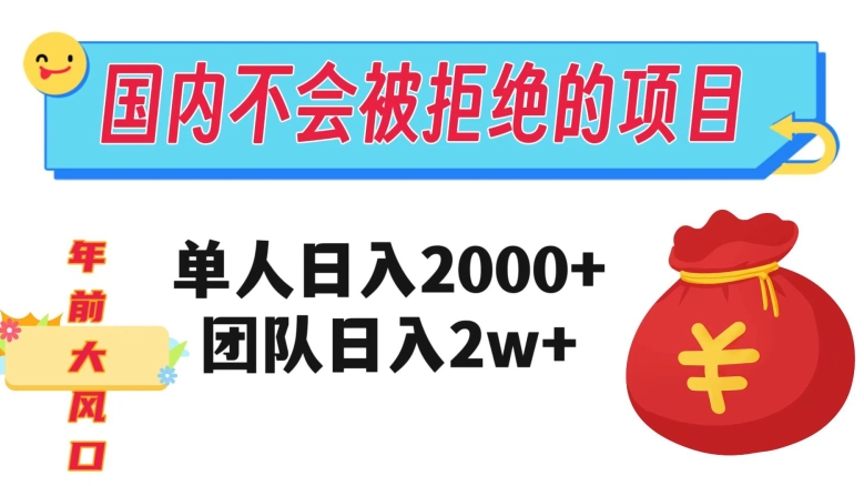 在国内不怕被拒绝的项目，单人日入2000，团队日入20000+【揭秘】-氢气球网创资源库