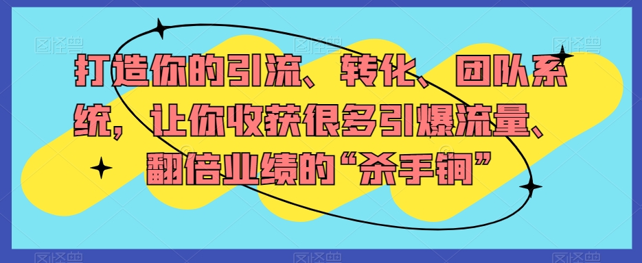 打造你的引流、转化、团队系统，让你收获很多引爆流量、翻倍业绩的“杀手锏”-氢气球网创资源库