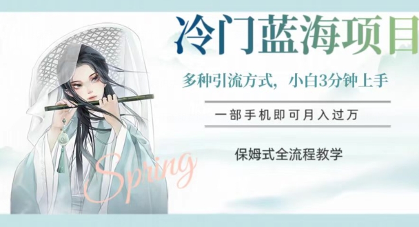 冷门蓝海项目，操作简单，小白3分钟上手，多种引流方式，保姆式全流程教学【揭秘】-氢气球网创资源库