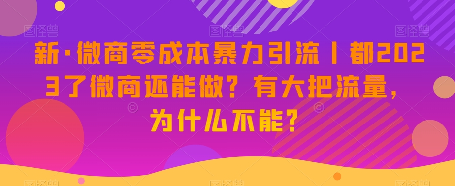 新·微商零成本暴力引流丨都2023了微商还能做？有大把流量，为什么不能？-氢气球网创资源库