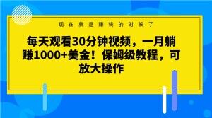 每天观看30分钟视频，一月躺赚1000+美金！保姆级教程，可放大操作【揭秘】-氢气球网创资源库