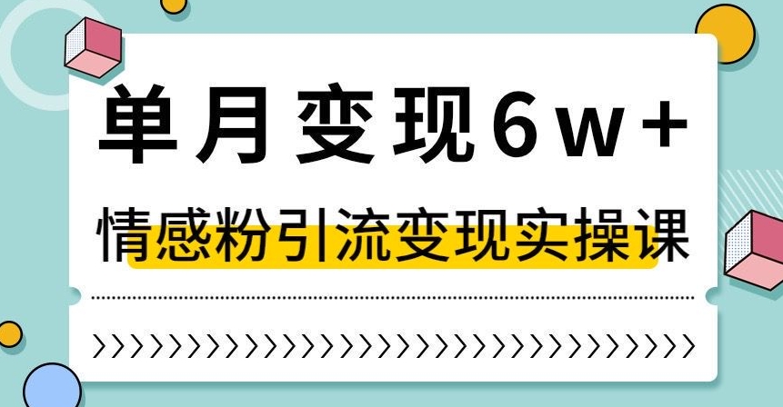 单月变现6W+，抖音情感粉引流变现实操课，小白可做，轻松上手，独家赛道【揭秘】-氢气球网创资源库