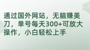 通过国外网站，无脑赚美刀，单号每天300+可放大操作，小白轻松上手【揭秘】-氢气球网创资源库