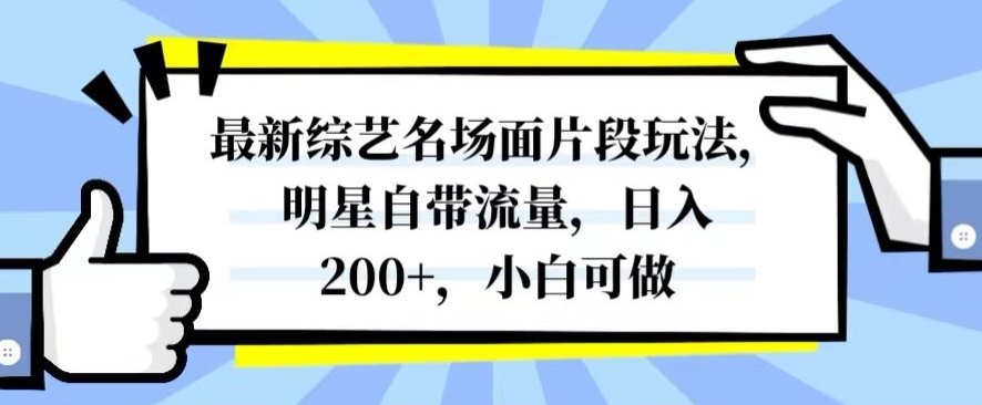 最新综艺名场面片段玩法，明星自带流量，日入200+，小白可做【揭秘】-氢气球网创资源库
