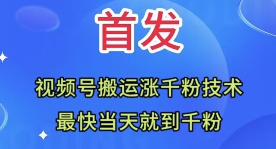 全网首发：视频号无脑搬运涨千粉技术，最快当天到千粉【揭秘】-氢气球网创资源库