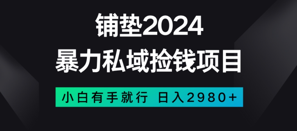 暴力私域捡钱项目，小白无脑操作，日入2980【揭秘】-氢气球网创资源库