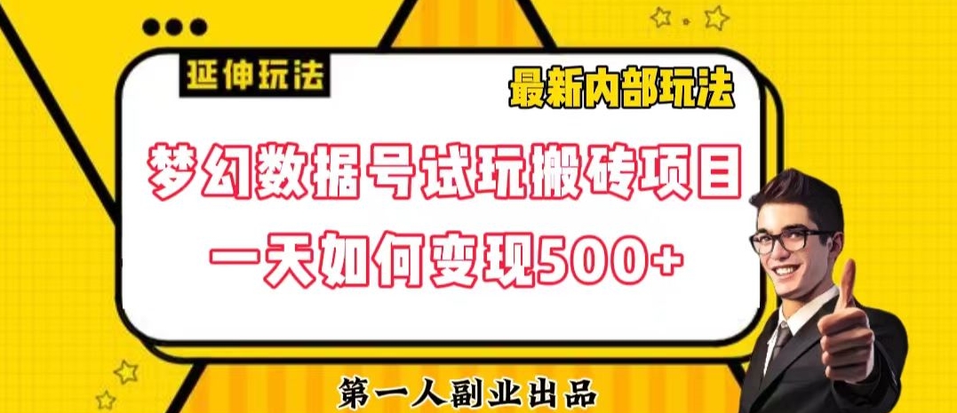 数据号回归玩法游戏试玩搬砖项目再创日入500+【揭秘】-氢气球网创资源库