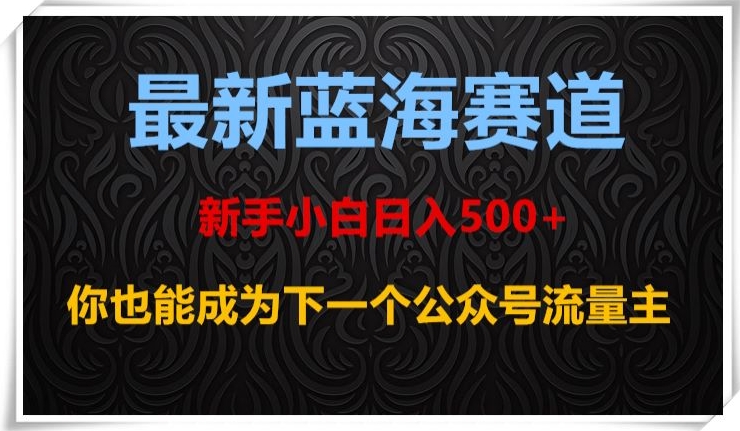 最新蓝海赛道，新手小白日入500+，你也能成为下一个公众号流量主【揭秘】-氢气球网创资源库